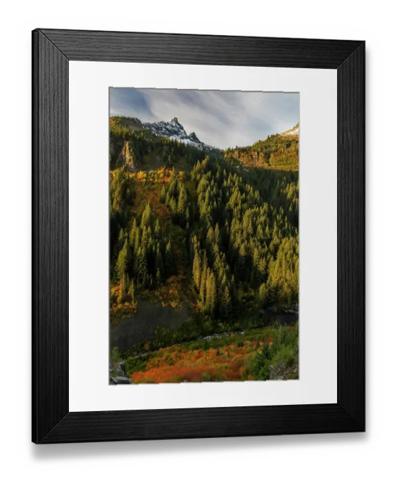 Framed Print : Autumn color along Stevens Creek in Mount Rainier National Park, Washington State, USA Framed Print : Autumn color along Stevens Creek in Mount Rainier National Park, Washington State, USA