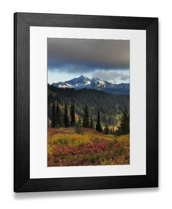 Framed Print : Autumn hues with the Tatoosh Range in Mount Rainier National Park, Washington State, USA