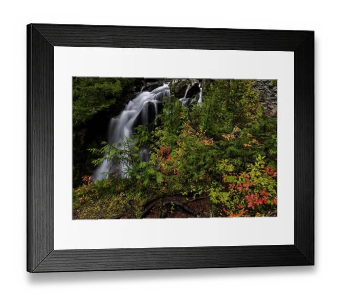 Framed Print : Paradise River in autumn in Mount Rainier National Park, Washington State, USA Framed Print : Paradise River in autumn in Mount Rainier National Park, Washington State, USA