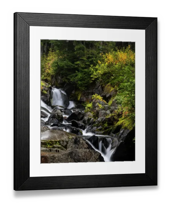 Framed Print : Paradise River in autumn in Mount Rainier National Park, Washington State, USA Framed Print : Paradise River in autumn in Mount Rainier National Park, Washington State, USA