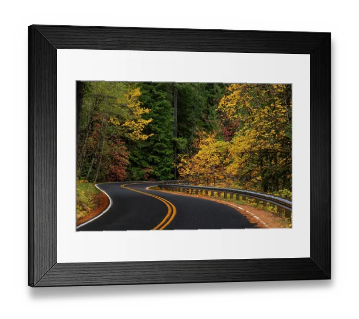 Framed Print : Autumn color along the Wind River Road in the Gifford Pinchot National Forest, Washington State, USA Framed Print : Autumn color along the Wind River Road in the Gifford Pinchot National Forest, Washington State, USA
