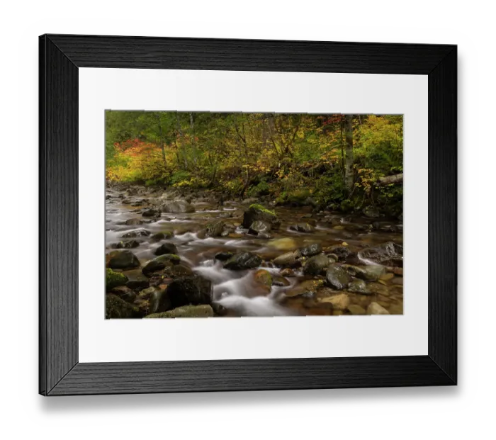 Framed Print : Autumn color along Skate Creek in the Gifford Pinchot National Forest, Washington State, USA Framed Print : Autumn color along Skate Creek in the Gifford Pinchot National Forest, Washington State, USA