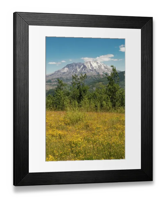 Framed Print : Washington State, Skamania County. Mount St. Helens or Louwala-Clough is an active stratovolcano Framed Print : Washington State, Skamania County. Mount St. Helens or Louwala-Clough is an active stratovolcano