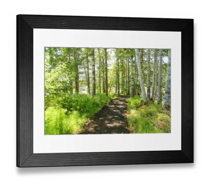 Framed Print : Washington State, Pacific County, Megler. Columbia River. Walk along the North Shore of the Columbia River