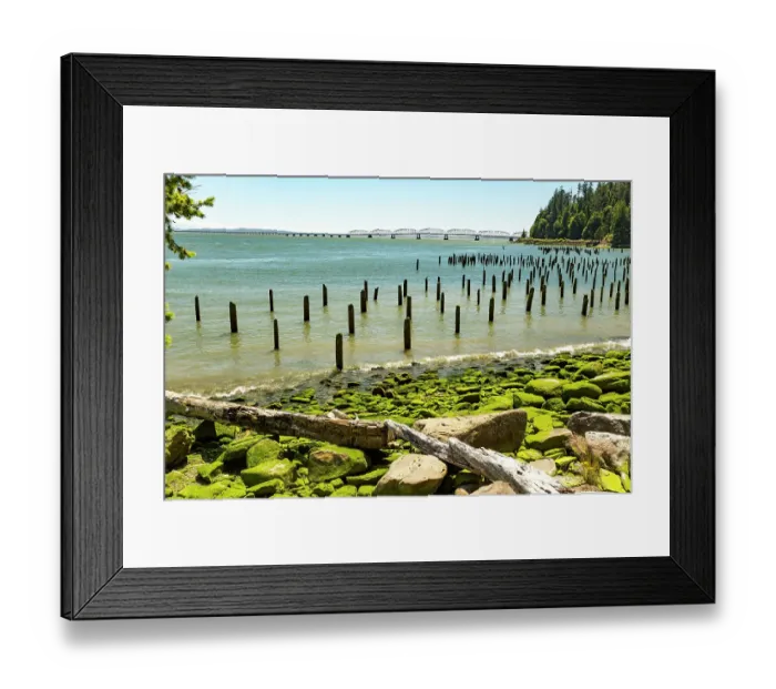 Framed Print : Washington State, Pacific County, Megler. Astoria Bridge. North Shore of the Columbia River. Seaweed covered piling, rocky beach