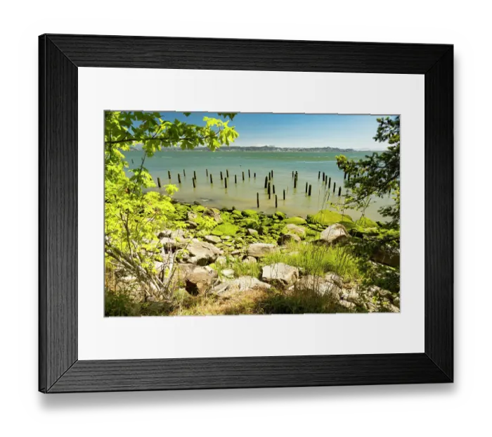 Framed Print : Washington State, Pacific County, Megler. Astoria Bridge. North Shore of the Columbia River. Seaweed covered piling, rocky beach