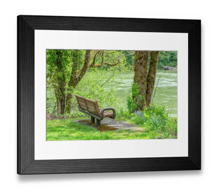 Framed Print : Rockport, Washington State, USA. Bench overlooking Skagit River in Rockport Steelhead Park