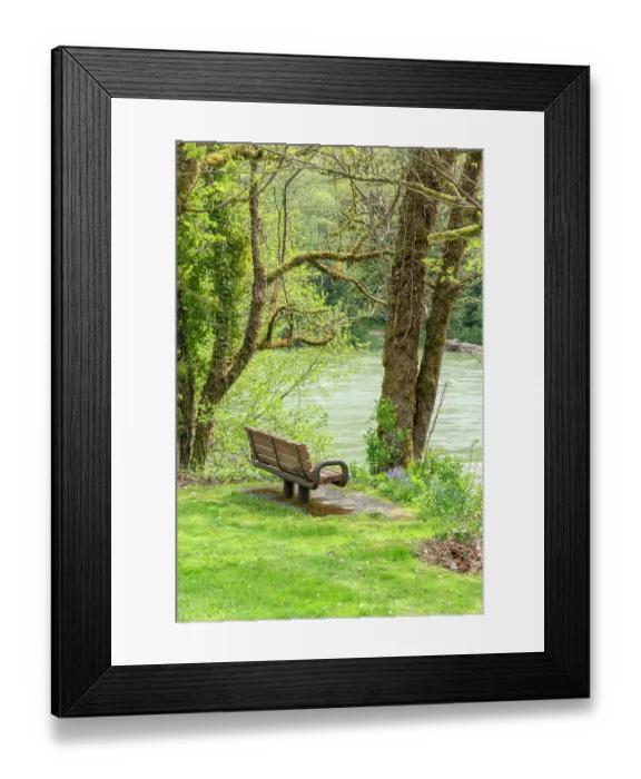 Framed Print : Rockport, Washington State, USA. Bench overlooking Skagit River in Rockport Steelhead Park