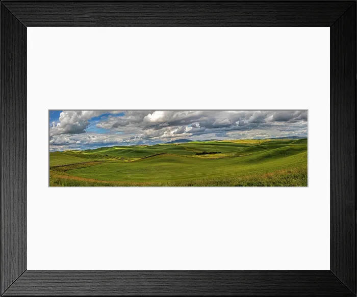 Framed Print : USA, Colfax, Washington State. Enos Road, scenic agriculture
