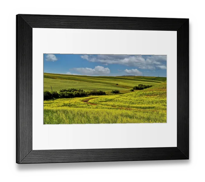 Framed Print : USA, Colfax, Washington State. Agricultural scene Framed Print : USA, Colfax, Washington State. Agricultural scene