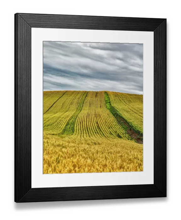 Framed Print : USA, Lacrosse, Washington State. Scenic field Framed Print : USA, Lacrosse, Washington State. Scenic field
