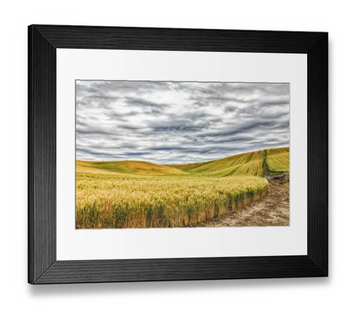 Framed Print : USA, Lacrosse, Washington State. Scenic field Framed Print : USA, Lacrosse, Washington State. Scenic field