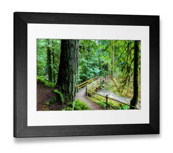 Framed Print : Wooden bridge over the Little River, Little River to Hurricane Ridge trail, Port Angeles, Washington State, USA Framed Print : Wooden bridge over the Little River, Little River to Hurricane Ridge trail, Port Angeles, Washington State, USA