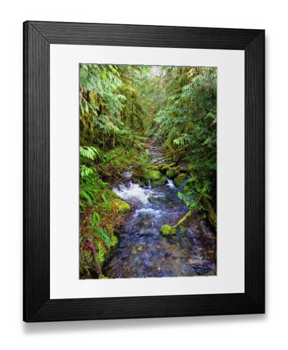 Framed Print : Little River, Olympic National Forest, Port Angeles, Washington State, USA Framed Print : Little River, Olympic National Forest, Port Angeles, Washington State, USA