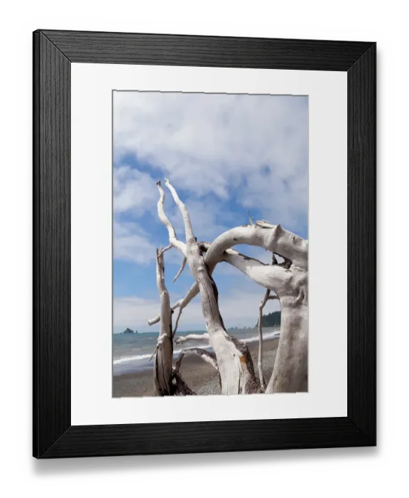 Framed Print : Rialto Beach, Olympic National Park, Mora, Washington State, USA Framed Print : Rialto Beach, Olympic National Park, Mora, Washington State, USA