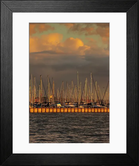 Framed Print : Elliott Bay Marina, Smith Cove, Seattle, Washington State, USA Framed Print : Elliott Bay Marina, Smith Cove, Seattle, Washington State, USA
