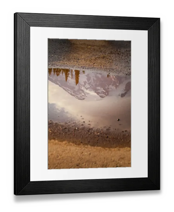 Framed Print : Reflection of Mount Rainier in a puddle, Mt. Rainier National Park, Washington State, USA Framed Print : Reflection of Mount Rainier in a puddle, Mt. Rainier National Park, Washington State, USA