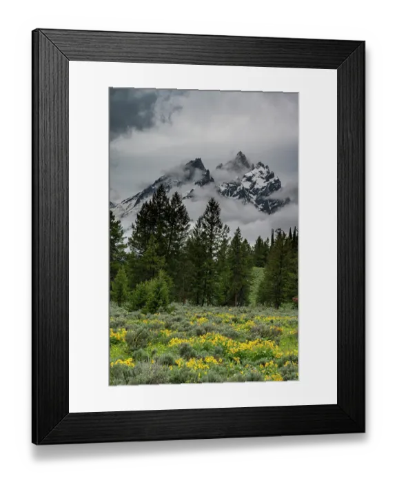 Framed Print : USA, Wyoming. Cathedral view of Mount Teewinot, Grand Teton and Mount Owen Framed Print : USA, Wyoming. Cathedral view of Mount Teewinot, Grand Teton and Mount Owen
