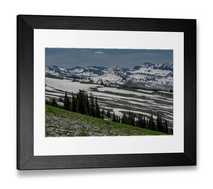 Framed Print : USA, Wyoming. Snowy landscape of early summer, Jedediah Smith Wilderness Framed Print : USA, Wyoming. Snowy landscape of early summer, Jedediah Smith Wilderness
