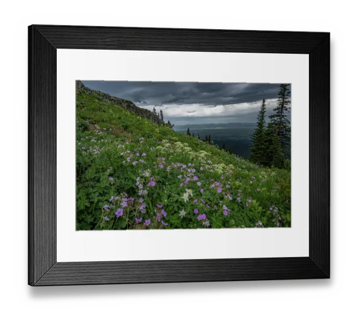 Framed Print : USA, Wyoming. Field of columbine, geranium, cow parsnip and view of Teton Valley