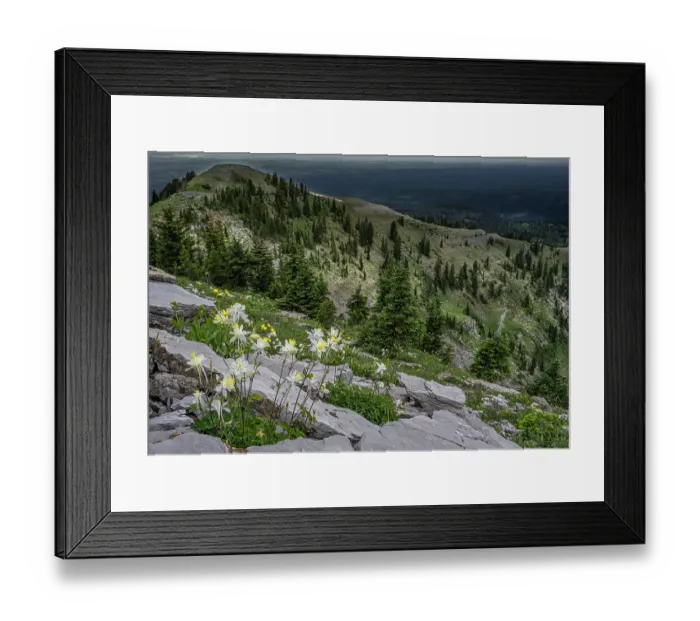 Framed Print : USA, Wyoming. Columbine and Beards Mountain. West side of Tetons Framed Print : USA, Wyoming. Columbine and Beards Mountain. West side of Tetons