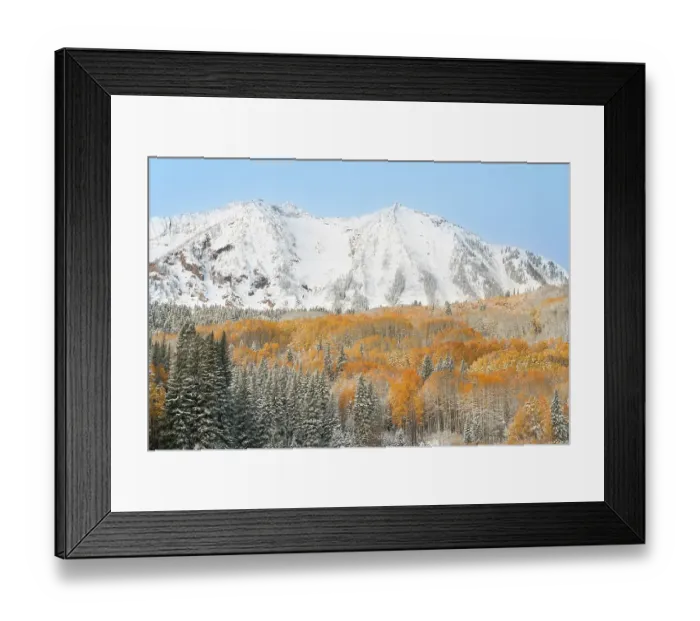 Framed Print : USA, Colorado, Gunnison National Forest. Snow on East Beckwith Mountain and forest in autumn. ©Don Grall / Jaynes Gallery / DanitaDelimont.com Framed Print : USA, Colorado, Gunnison National Forest. Snow on East Beckwith Mountain and forest in autumn. ©Don Grall / Jaynes Gallery / DanitaDelimont.com