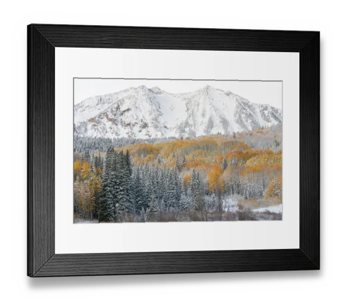 Framed Print : USA, Colorado, Gunnison National Forest. Snow on East Beckwith Mountain and forest in autumn. ©Don Grall  /  Jaynes Gallery  /  DanitaDelimont.com