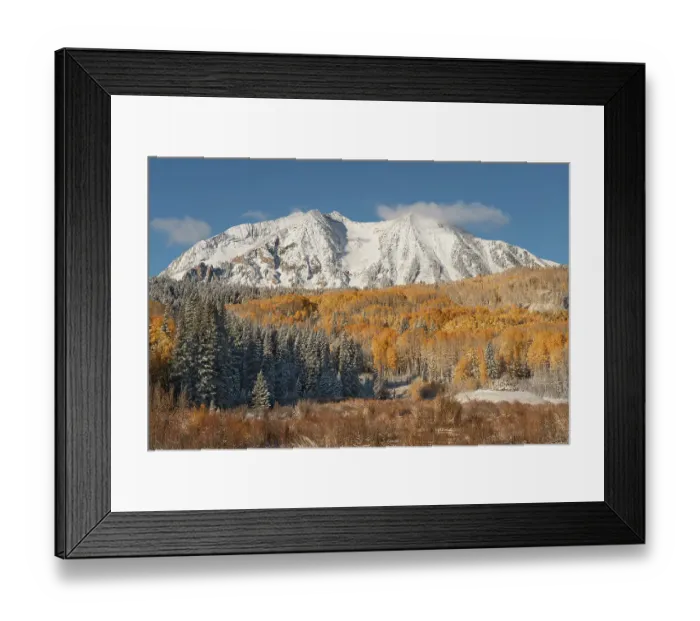 Framed Print : USA, Colorado, Gunnison National Forest. Snow on East Beckwith Mountain and forest in autumn. ©Don Grall  /  Jaynes Gallery  /  DanitaDelimont.com
