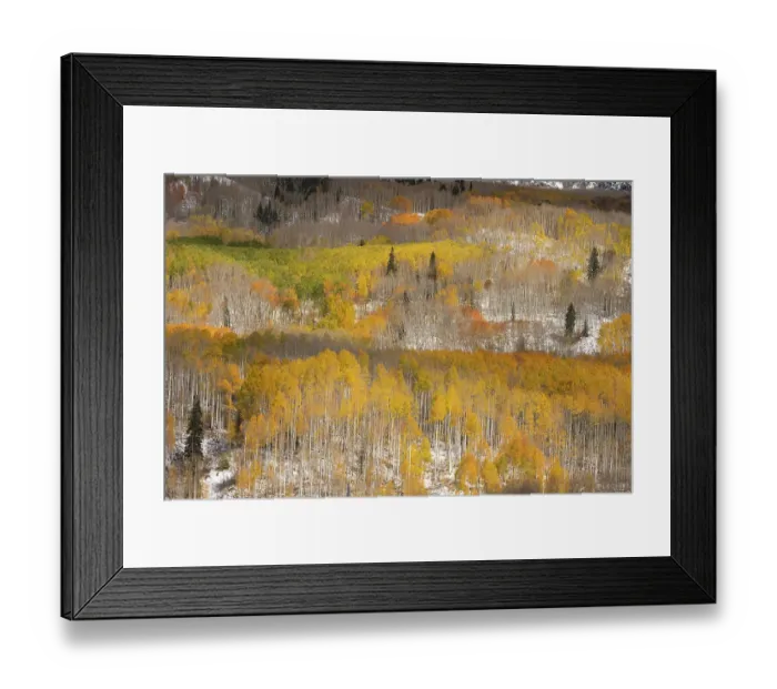 Framed Print : USA, Colorado, Gunnison National Forest. Mountain and forest landscape in autumn. ©Don Grall / Jaynes Gallery / DanitaDelimont.com Framed Print : USA, Colorado, Gunnison National Forest. Mountain and forest landscape in autumn. ©Don Grall / Jaynes Gallery / DanitaDelimont.com