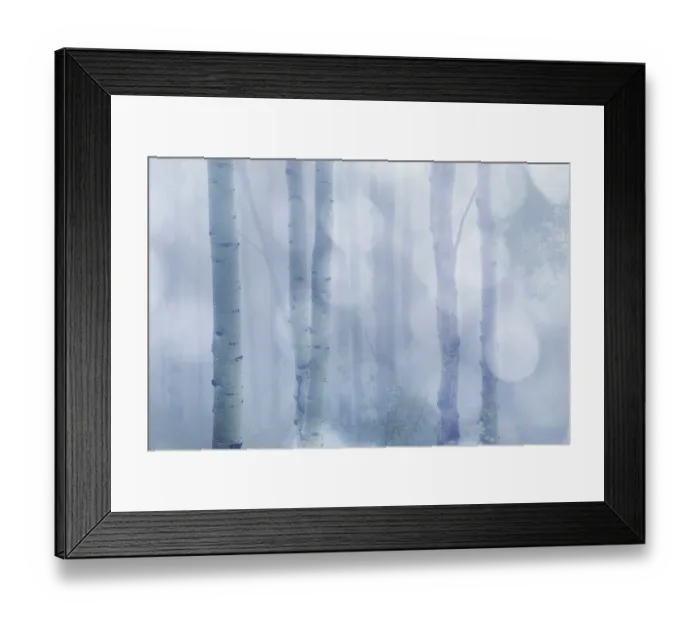 Framed Print : USA, Colorado, Grand Mesa. Aspen trees in winter fog. ©Don Paulson / Jaynes Gallery / DanitaDelimont.com Framed Print : USA, Colorado, Grand Mesa. Aspen trees in winter fog. ©Don Paulson / Jaynes Gallery / DanitaDelimont.com