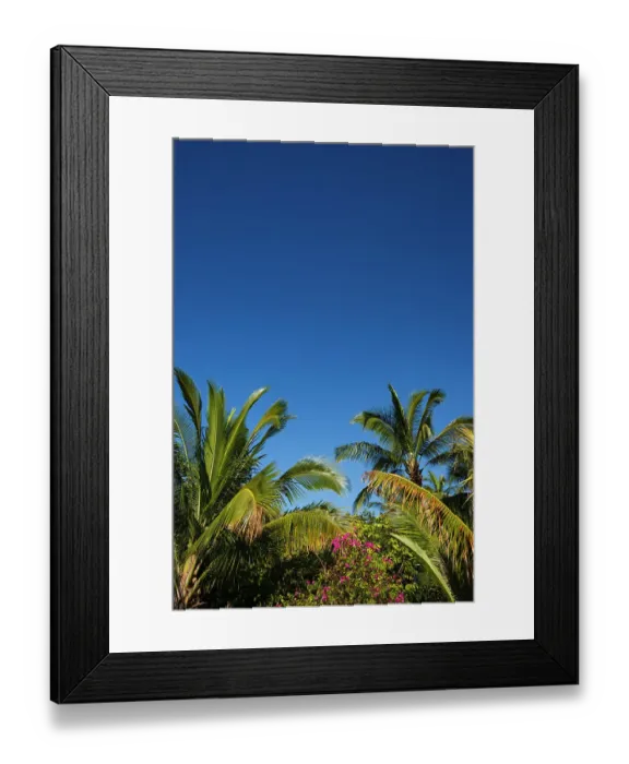 Framed Print : Palm trees and flowers, Kona coast, Big Island, Hawaii USA