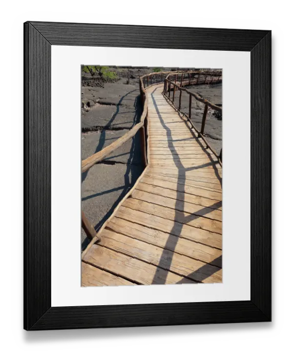 Framed Print : Ancient petroglyphs in lava, Kona Village, Big Island, Kona, Hawaii, USA Framed Print : Ancient petroglyphs in lava, Kona Village, Big Island, Kona, Hawaii, USA