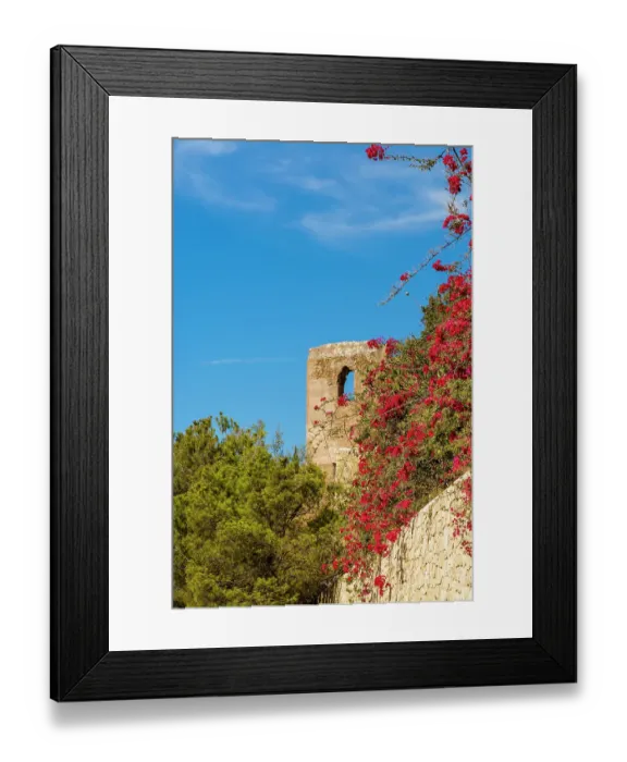Framed Print : Alcazaba and Castle of Gibralfaro on Mount Malaga above the old town, Malaga, Spain Framed Print : Alcazaba and Castle of Gibralfaro on Mount Malaga above the old town, Malaga, Spain