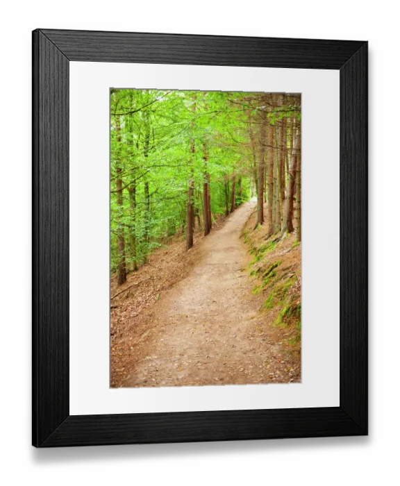 Framed Print : Walking trail to Ladonia, Kullaberg, Skane County, Sweden Framed Print : Walking trail to Ladonia, Kullaberg, Skane County, Sweden