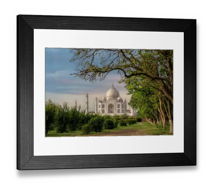 Framed Print : India, Uttar Pradesh, Agra. Taj Mahal, seen from an orchard and tree lined view in early morning light Framed Print : India, Uttar Pradesh, Agra. Taj Mahal, seen from an orchard and tree lined view in early morning light