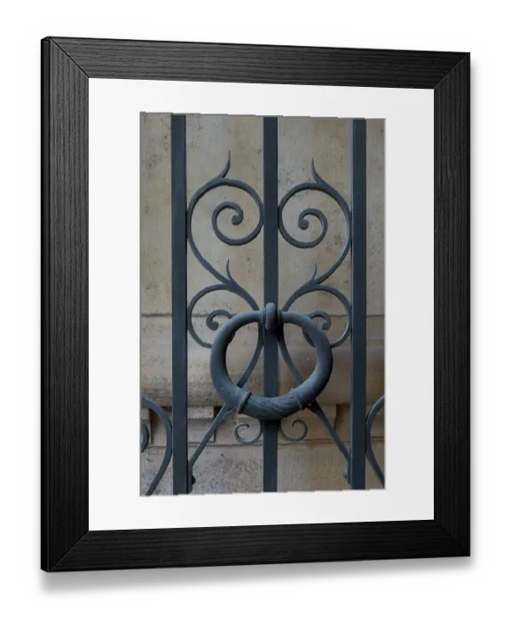 Framed Print : Vienna, Austria. Ironwork gate detail
