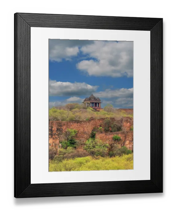 Framed Print : India, Rajasthan. Ranthambore National Park. Fortress ruin on the hill built in 944 AD housing Maharajahs