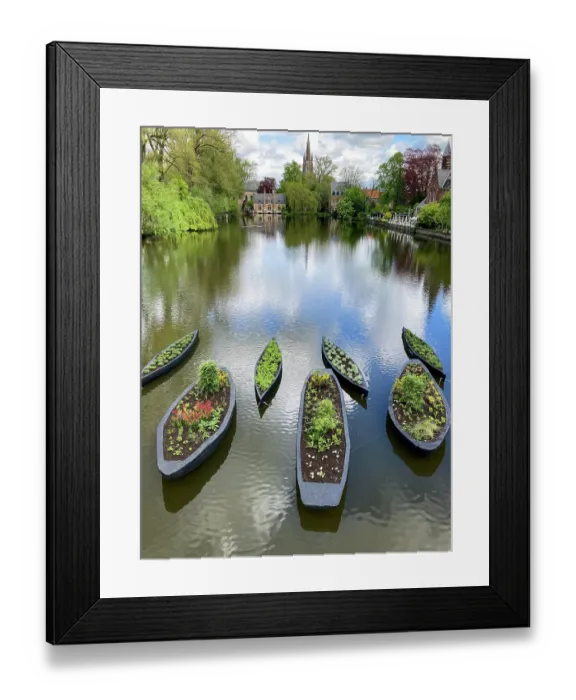 Framed Print : Bruges, Belgium. Canoes being used as planters on a canal in Bruges Framed Print : Bruges, Belgium. Canoes being used as planters on a canal in Bruges