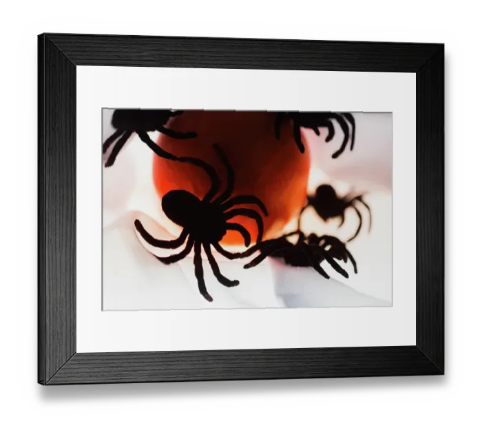 Framed Print : Spiders and light Framed Print : Spiders and light