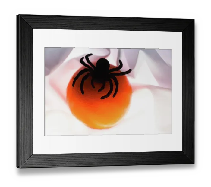 Framed Print : Spiders and light Framed Print : Spiders and light