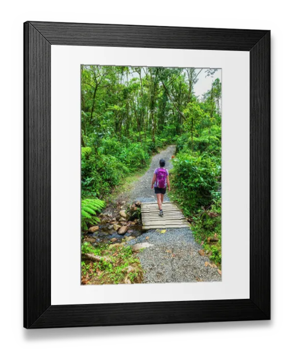 Framed Print : Hiker on the Rio Celeste trail, Tenorio Volcano National Park, Guanacaste Province, Costa Rica. (MR) Framed Print : Hiker on the Rio Celeste trail, Tenorio Volcano National Park, Guanacaste Province, Costa Rica. (MR)