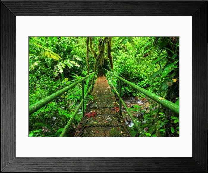 Framed Print : Bridge over a jungle stream, Alajuela Province, Costa Rica