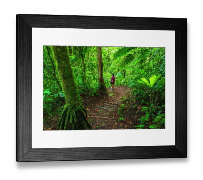 Framed Print : Woman exploring on a jungle trail, Alajuela Province, Costa Rica. (MR) Framed Print : Woman exploring on a jungle trail, Alajuela Province, Costa Rica. (MR)