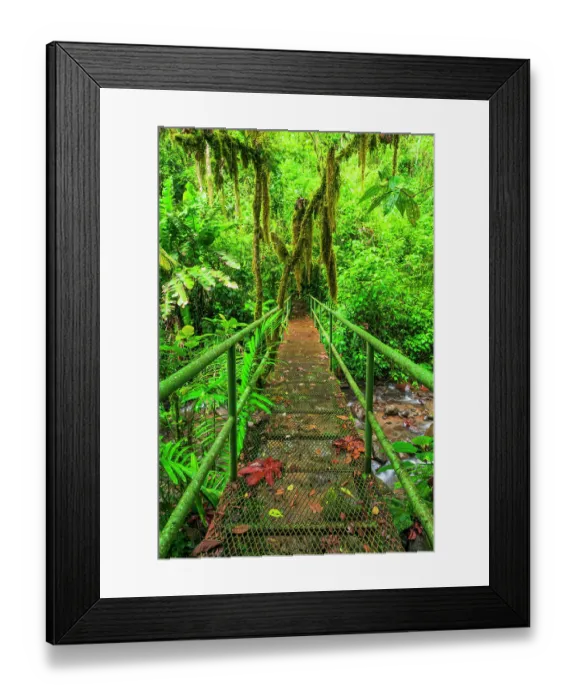 Framed Print : Bridge over a jungle stream, Alajuela Province, Costa Rica