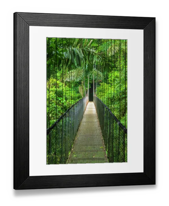 Framed Print : Suspension bridge at Mistico Hanging Bridges, Alajuela Province, Costa Rica