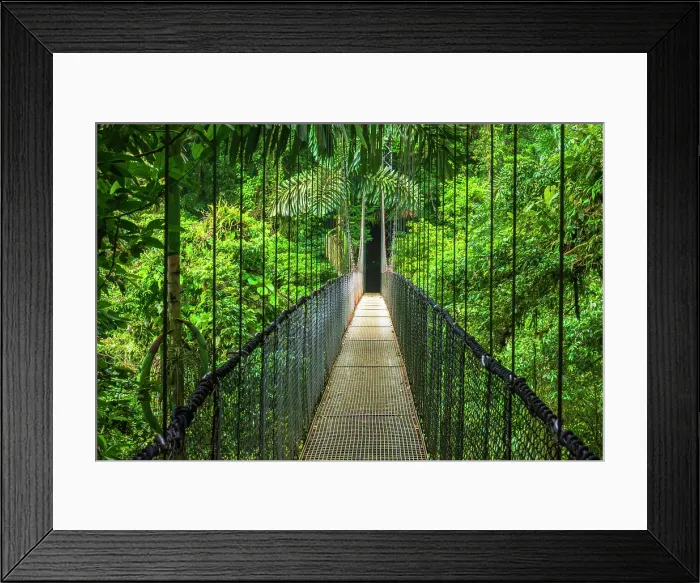 Framed Print : Suspension bridge at Mistico Hanging Bridges, Alajuela Province, Costa Rica. (MR)