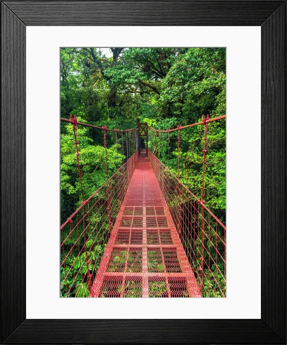 Framed Print : Hikers on a red suspension bridge, Monte Verde Cloud Forest Preserve, Alajuela Province, Costa Rica Framed Print : Hikers on a red suspension bridge, Monte Verde Cloud Forest Preserve, Alajuela Province, Costa Rica