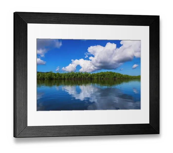 Framed Print : Mangroves along the Sierpe River, Terraba Sierpe National Wetlands, Puntarenas Province, Costa Rica