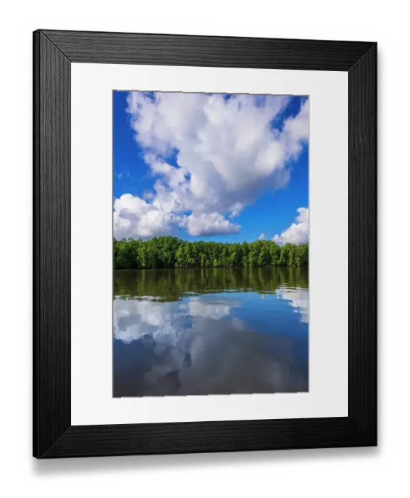 Framed Print : Mangroves along the Sierpe River, Terraba Sierpe National Wetlands, Puntarenas Province, Costa Rica Framed Print : Mangroves along the Sierpe River, Terraba Sierpe National Wetlands, Puntarenas Province, Costa Rica
