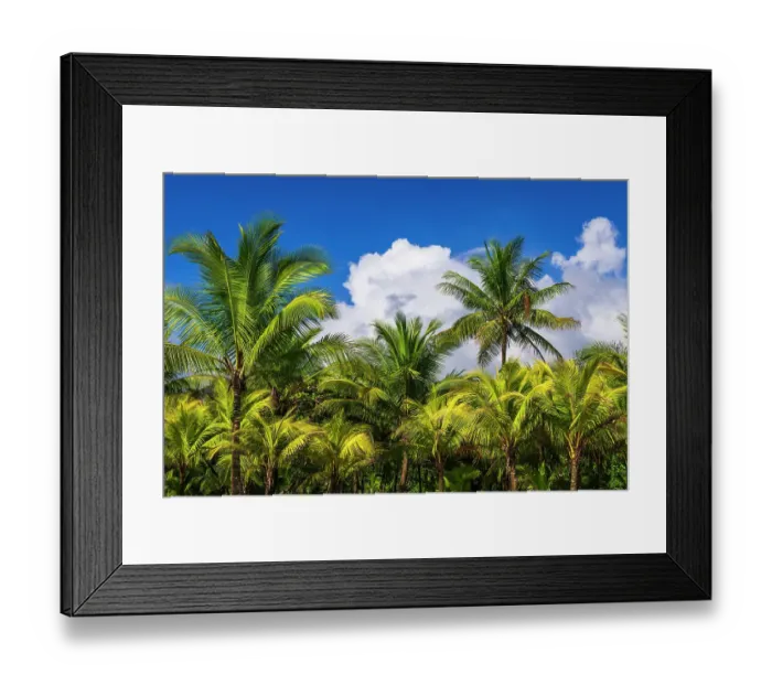 Framed Print : Clouds over coconut palms at Playa Matapalo, Puntarenas Province, Costa Rica
